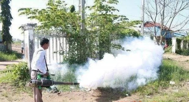 柬埔寨金边市长将大规模灭蚊