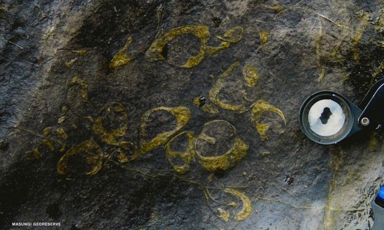 菲律宾最古老化石可能出自于马松吉地质保护区