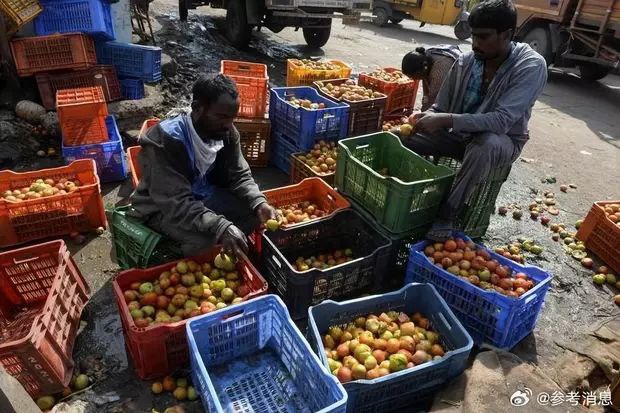 比汽油还贵！印度西红柿价格暴涨445%
